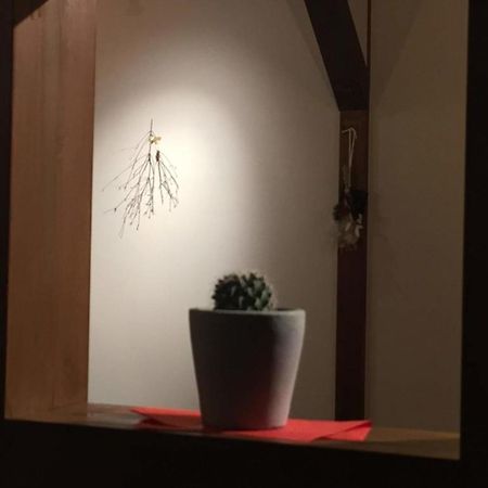 Kinosaki Knot Female Only Dormitory - Vacation Stay 25710V 丰冈市 外观 照片